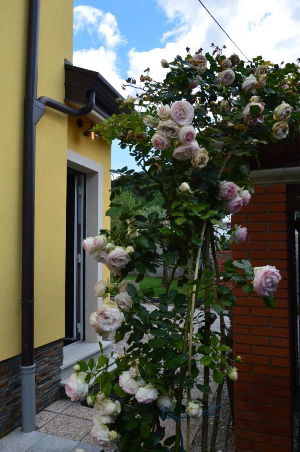 Apartment Kancler Нова Горица Екстериор снимка